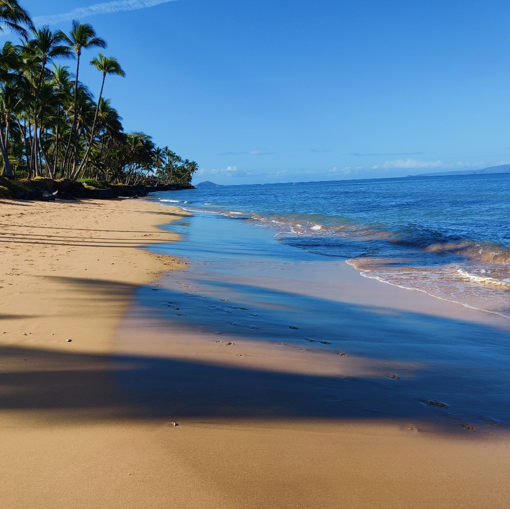 Meet your Posher, Noe!